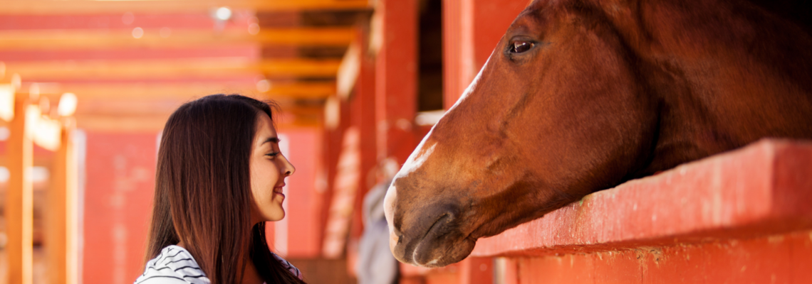 Abbildung eine junge Frau steht neben Ihrem Pferd