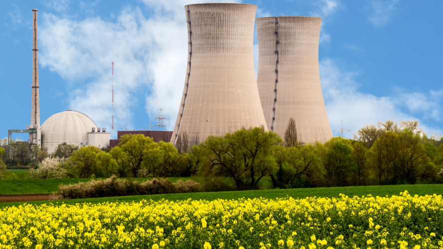 Abbildung Kernkraftwerk mit blauem Hintergrund und Wiese mit gelben Blumen 