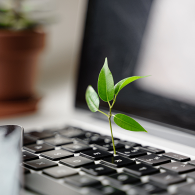 Abbildung Laptop aus dessen Tastatur eine Pflanze wächst