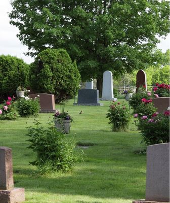 Abbildung Friedhof mit Grabsteinen, Sträucher und Bäume