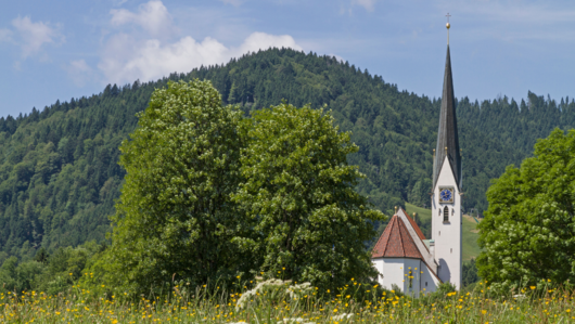 Abbildung Kirche mit grünem Gestrüpp 