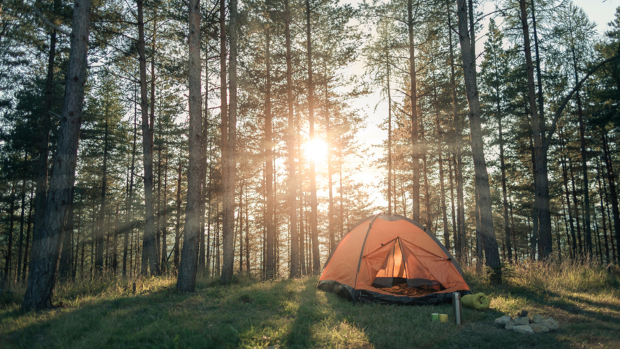 Abbildung Zelt im Wald, durch den die Sonne durchscheint 