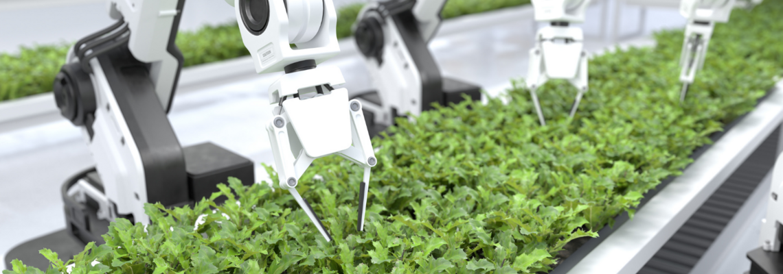 Abbildung mehrer Roboter-Maschinen die an einem Fließband die Pflanzen prüfen