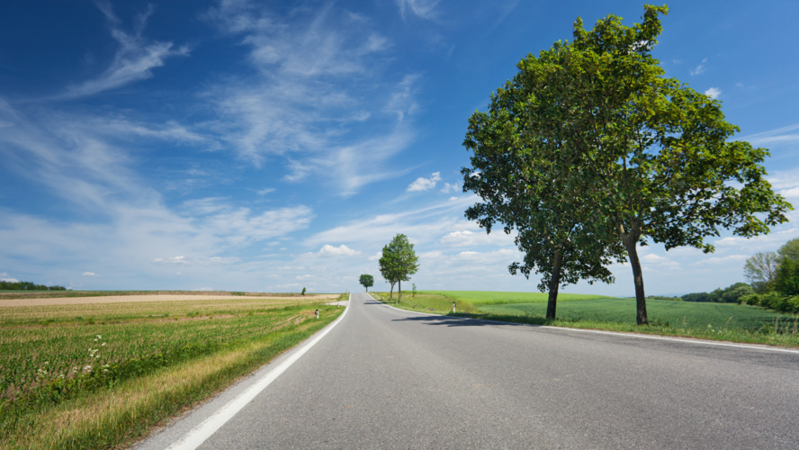 Abbildung unbefahrene Straße mit Baum und blauem Himmel