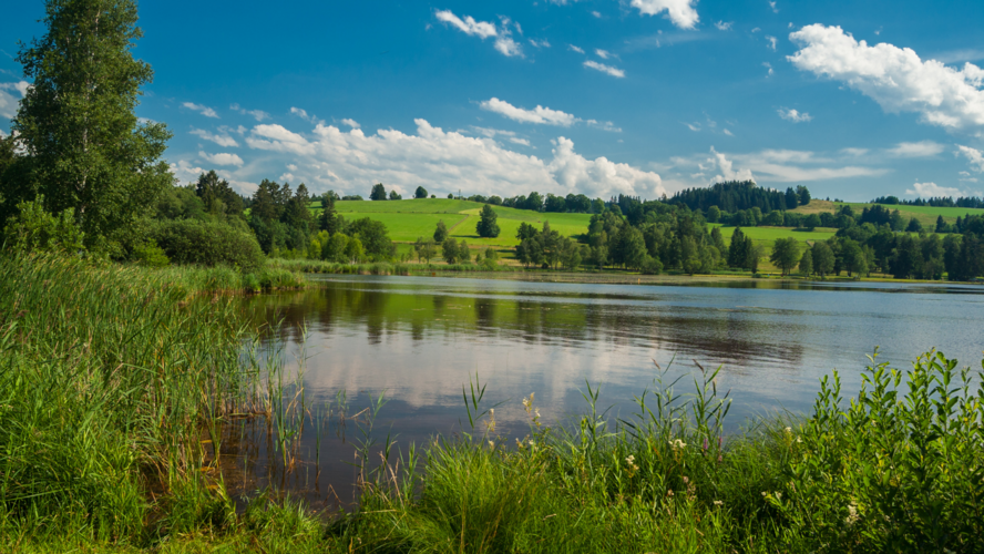 Abbildung See mit umgebener grüner Naturkulisse mit blauem Himmel 
