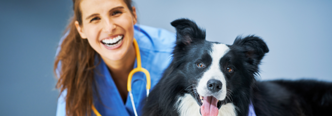Abbildung eine Tiermedizinerin und ein Hund lächeln in die Kamera