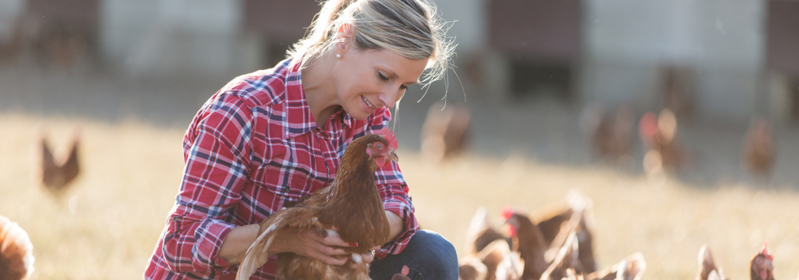 Abbildung eine Frau steht zwischen Hühner und hält ein Huhn in den Händen