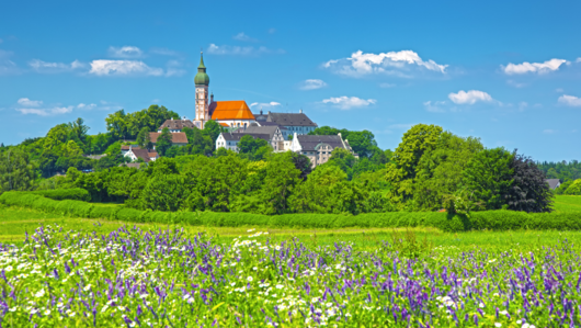 Abbildung Blumenwiese mit grüner Umgebung, Stadt und blauem Himmel im Hintergrund