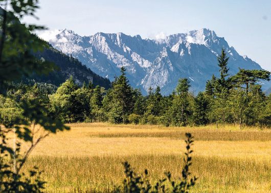 Abbildung einer Wiese mit den Alpen im Hintergrund im Landkreis Garmisch-Partenkirchen